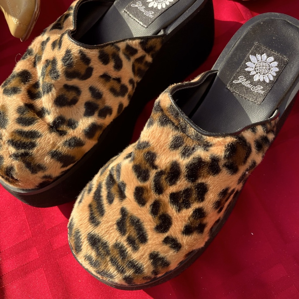 Leopard slides